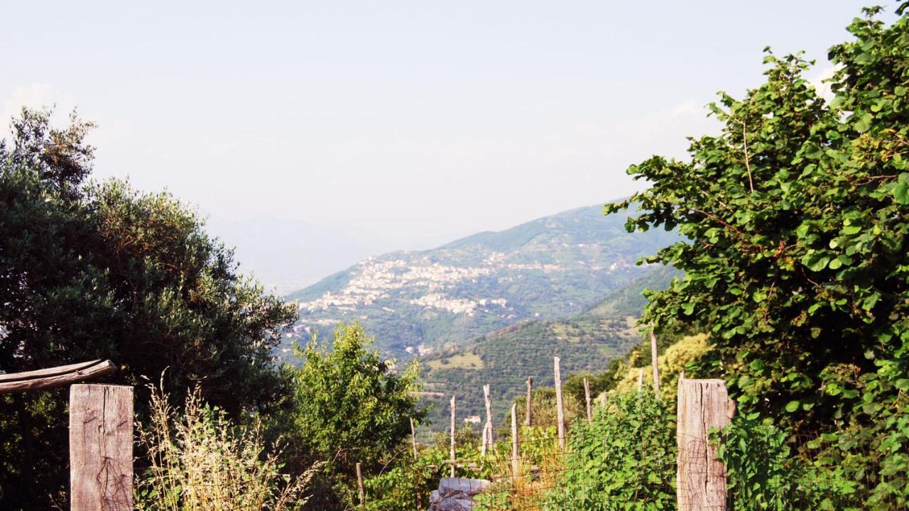 Madre Terra Villa Pimonte Bagian luar foto