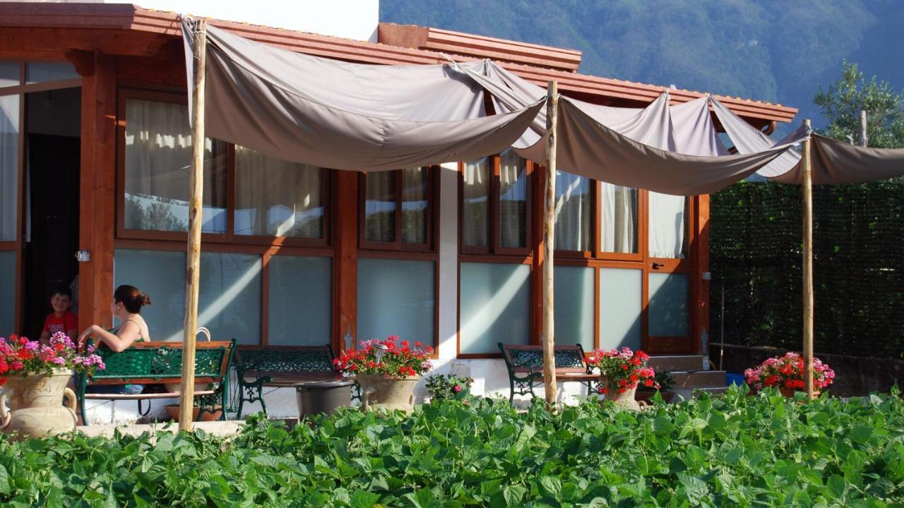 Madre Terra Villa Pimonte Bagian luar foto